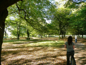 Cycling in Richmond Park, London